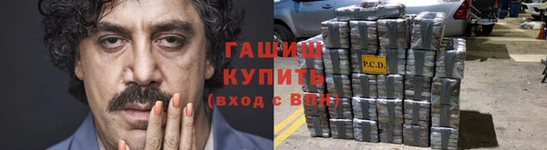 хмурый Алексин