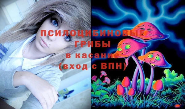 хмурый Алексин
