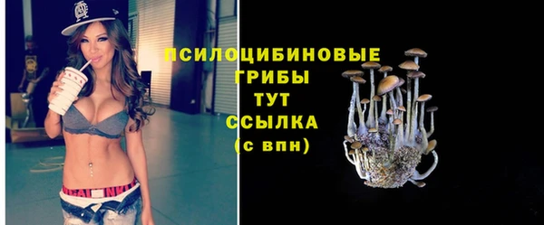 хмурый Алексин