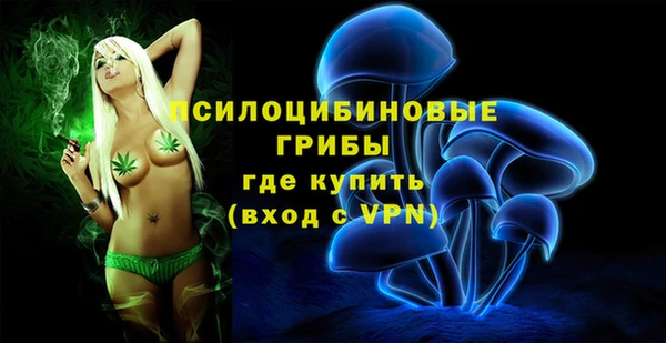 хмурый Алексин